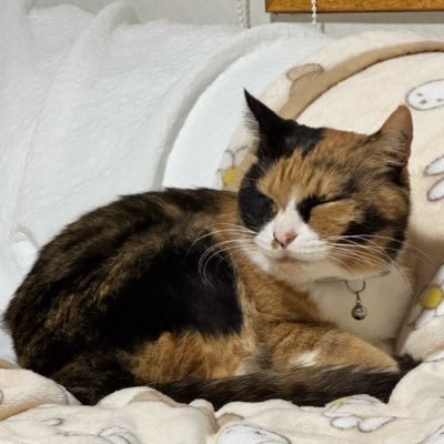 daaaa_4444's profile picture. 