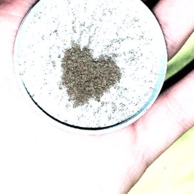 ergosumdeuss's profile picture. i wish i was a dinosaur