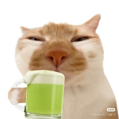 plsdontbiteme's profile picture. eng/pt │ 🐛🪲bugtwt/🦭sealtwt spectator