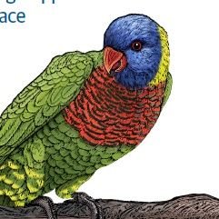 KramerNomi's profile picture. Internet of Goods