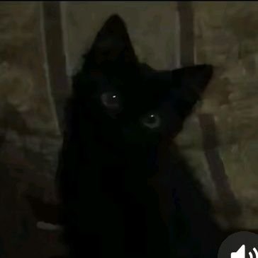 dqg74's profile picture. ご依頼停止中♡ https://t.co/kvOph0FISC  ✉#wave_dqg74