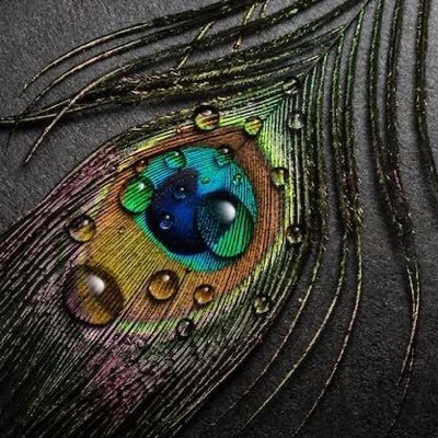 VijayAdvani9's profile picture. I am aware of the problems that our country faces. Always discuss about this,when ever possible. I feel happy while talking about our country.