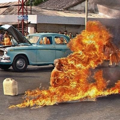 KaladinSB0311's profile picture. Marine Corps veteran.   Sic Semper Tyrannis