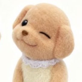 rir_y_k's profile picture. 📷𝕝𝕟𝕤𝕥𝕒𝕘𝕣𝕒𝕞メイン。自衛してます。