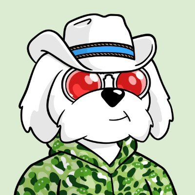 0xilef's profile picture. 