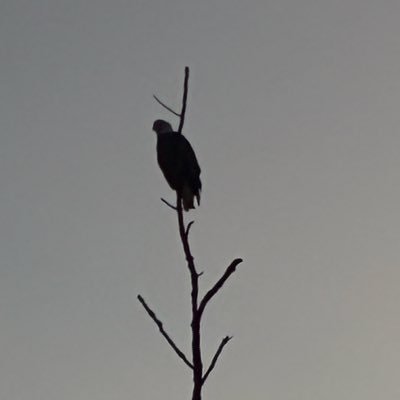 stefjohnzz's profile picture. all statistics are made up and completely pulled out of my ass, I feel like they're in the ballpark though