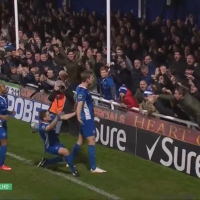 Josh sampford Profile