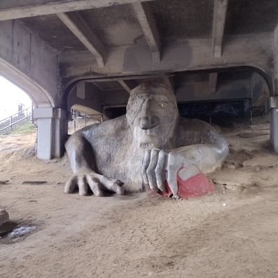 KenichiTakeshim's profile picture. 米国永住の日本人ですが、日本の将来を憂いています。Growth mindsetを持った成長戦略と愛国者（Patriot）の政治家を尊敬してます。
#高市早苗
#takaichi_sanae
#国民民主党支持者と繋がりたい
#右でも左でもなく一緒に上へ