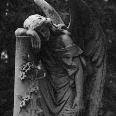 Mahdey21215780's profile picture. 