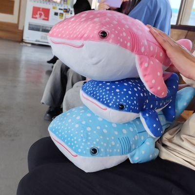 x5m8oi5's profile picture. 