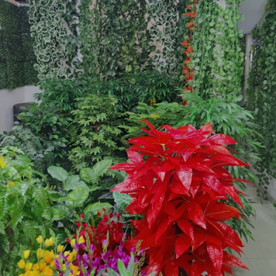 cs_sujitha56077's profile picture. 