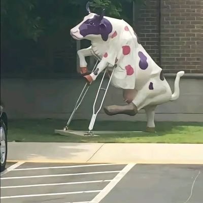 vnzzzzllyc's profile picture. 