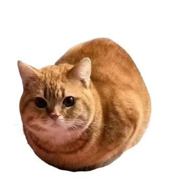 essiliayoub's profile picture. I'm an Technical Support Engineer
Customer Support at HPE skilled in infrastructure hardware and software, virtualization, Security DevOps, and cloud computing.
