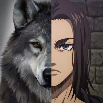 nosferiaさんのプロフィール画像