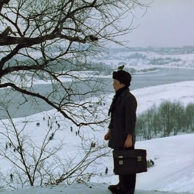 soppy_discourse's profile picture. 