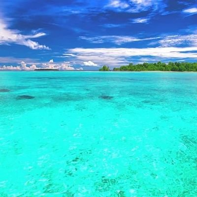 yuuki30019's profile picture. 水瀬いのりファン
いのりまち町民
水瀬いのりの為のアカウントです