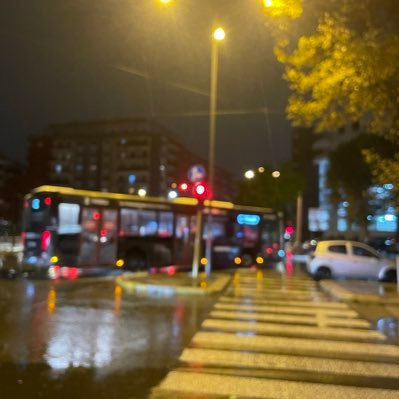 succhinoallamel's profile picture. 