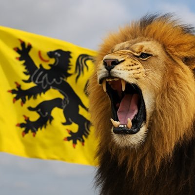 PersynSabatino's profile picture. 