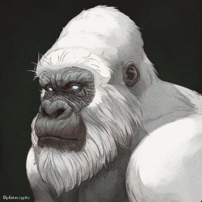 plataicrypto's profile picture. Warden of The Temple & SanctuaryDAO  🛕 🦍 since 2014 All my content is only for educational purposes, documenting my journey, and NOT financial advice.