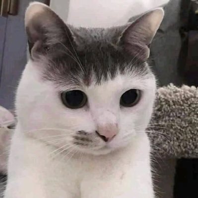 phphiiqw's profile picture. I 🤍 THAI CHAYANON | allthai (thaiper🤏🏿)