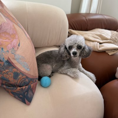 celestialpeach9's profile picture. 🌏 part time globe trotting fashion icon, part time anonymous bed-rotting ascetic hermit 🪅🪷 Divine Grace of Christ Above All 🕊️🦚🪽
