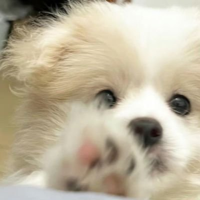 Sweetness100olo's profile picture. 