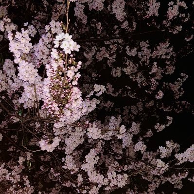 katx0z's profile picture. 