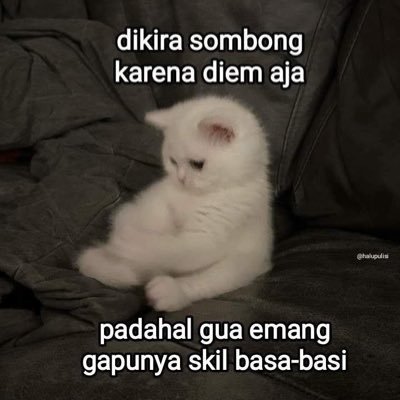 bisajadi2209's profile picture. 