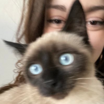 FchAnnaa's profile picture. 🩶