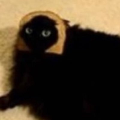 g6tpDEU291fzO's profile picture. 