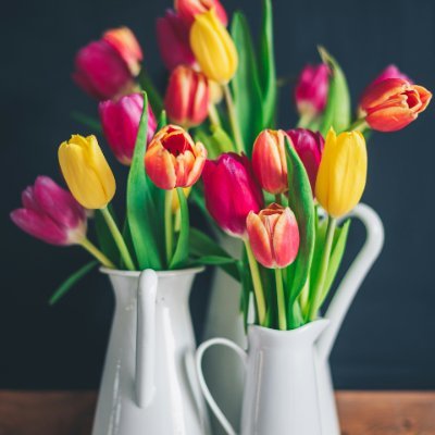 duzlybuz's profile picture. Plume Goon