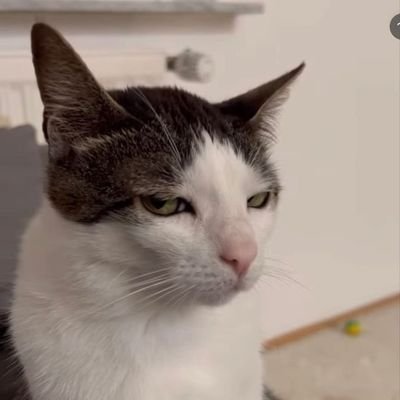 Kipyegon032's profile picture. 