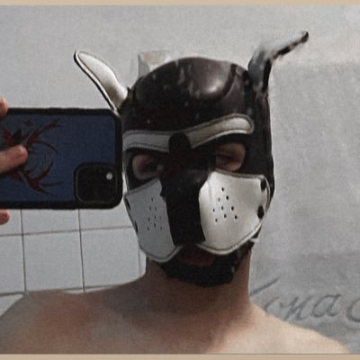 TaylerAD32's profile picture. 20LV, Twink, kink, BDSM,  A playful puppy with a lot of curiosity and passion for games🌚