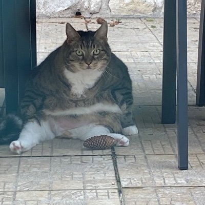 BarryXthegoat's profile picture. 