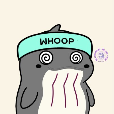 vncgtrV2's profile picture. @xyberinc
#CrunchieOG
REFLECTED