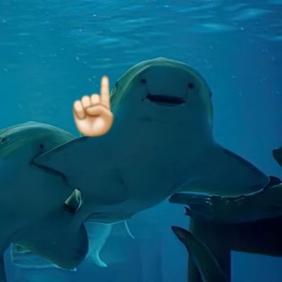 @nongngumnaruk