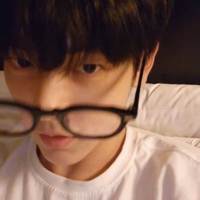 petalsdodo's profile picture. 