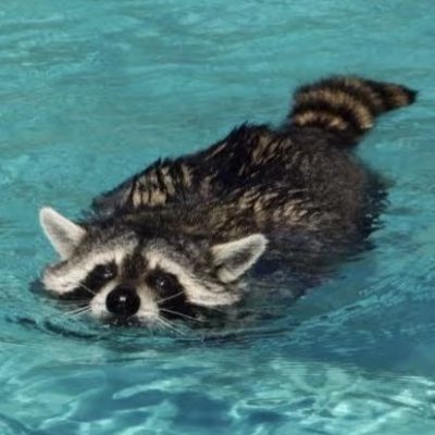 shijiu_109's profile picture. 