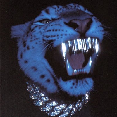 freakzwrldd's profile picture. FREAKY CONTENT PROMOTER 🐦‍🔥🐦‍🔥🐦‍🔥😈WHOLE LOTTA NASTY N WET $HIT 💦🌟 DM 4 MENU