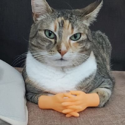 MrCONCAS's profile picture. non ho il pollice verde ma ho il dito medio!