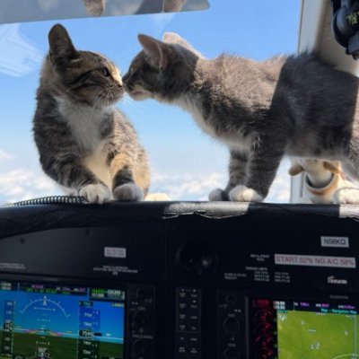 Ship_38's profile picture. main: @starship_block3