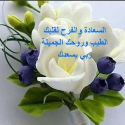 انا وقلبي سوا Profile