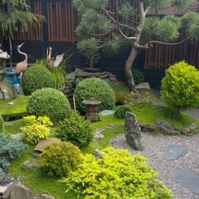 dos14hotma50922's profile picture. 