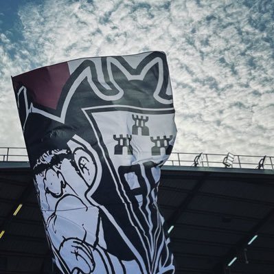 maganj10's profile picture. España, el Alba y los toros. Lo demás, inventos del fútbol moderno. 🇪🇸 ⚪️🐂