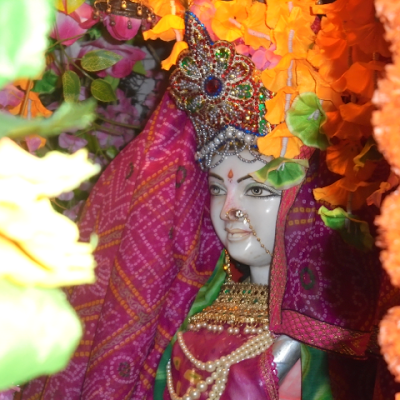 Ujjvalsinh110's profile picture. 