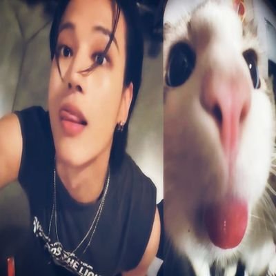 mimoranguinhoss's profile picture. multifandom ͏ ͏ ☽︎☾ . ₊ ⊹ . ₊˖ .
 ͏
 ͏ s/her

  ͏ ͏ ͏ ͏ ͏ ͏ ͏ ͏ ͏ ͏ ͏ ͏ ͏ ͏ ͏ ͏ ͏ ͏ ͏͏ ͏ ͏ ͏ ͏ ͏ ͏ ͏ ͏ ͏ ͏ ͏ ͏ ͏ ͏ ͏ ͏ ͏ ͏͏ ͏ ͏ ͏ ͏ ͏ ͏ ͏ ͏ ͏ ͏ ͏ ͏ ͏͏ ͏ ͏ ͏ 
ㅤㅤ