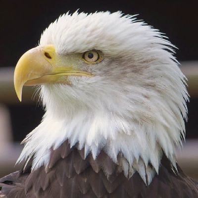 Wilfred681605's profile picture. 