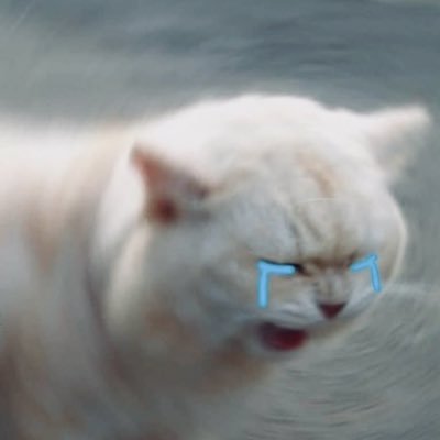 Kairyuu0911's profile picture. Just came to learn the way of loving a bloosom 🐰🦆