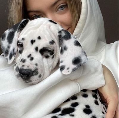 Mosesvicto28129's profile picture. Waiting on my k9 friend to have some fun WMO on TELEGRAM

#zoophillia #zoosarevalid #beastiality #dogknot #zooprideisvalid
#zoophile #antizoo ♥️🔞🌹🐕