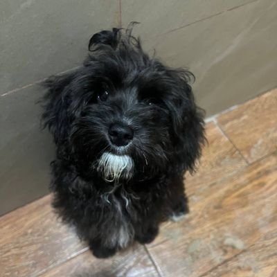 kimhud58's profile picture. 